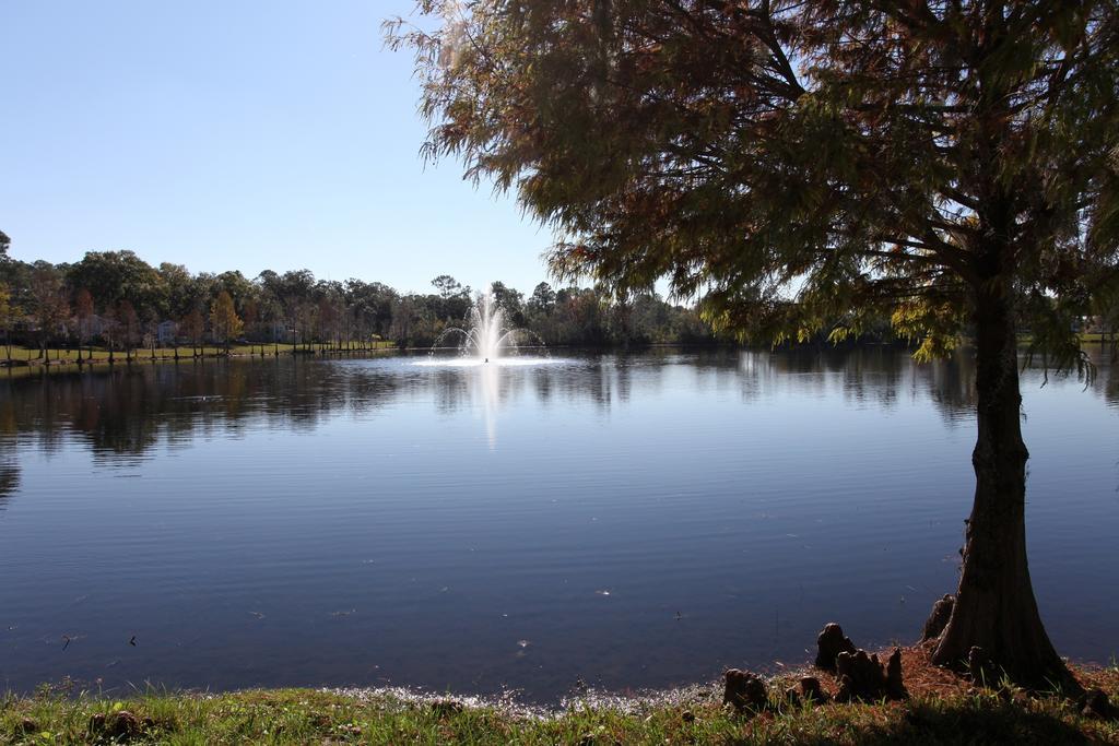 Sherwood Forest Cottage 3 Kissimmee Bagian luar foto